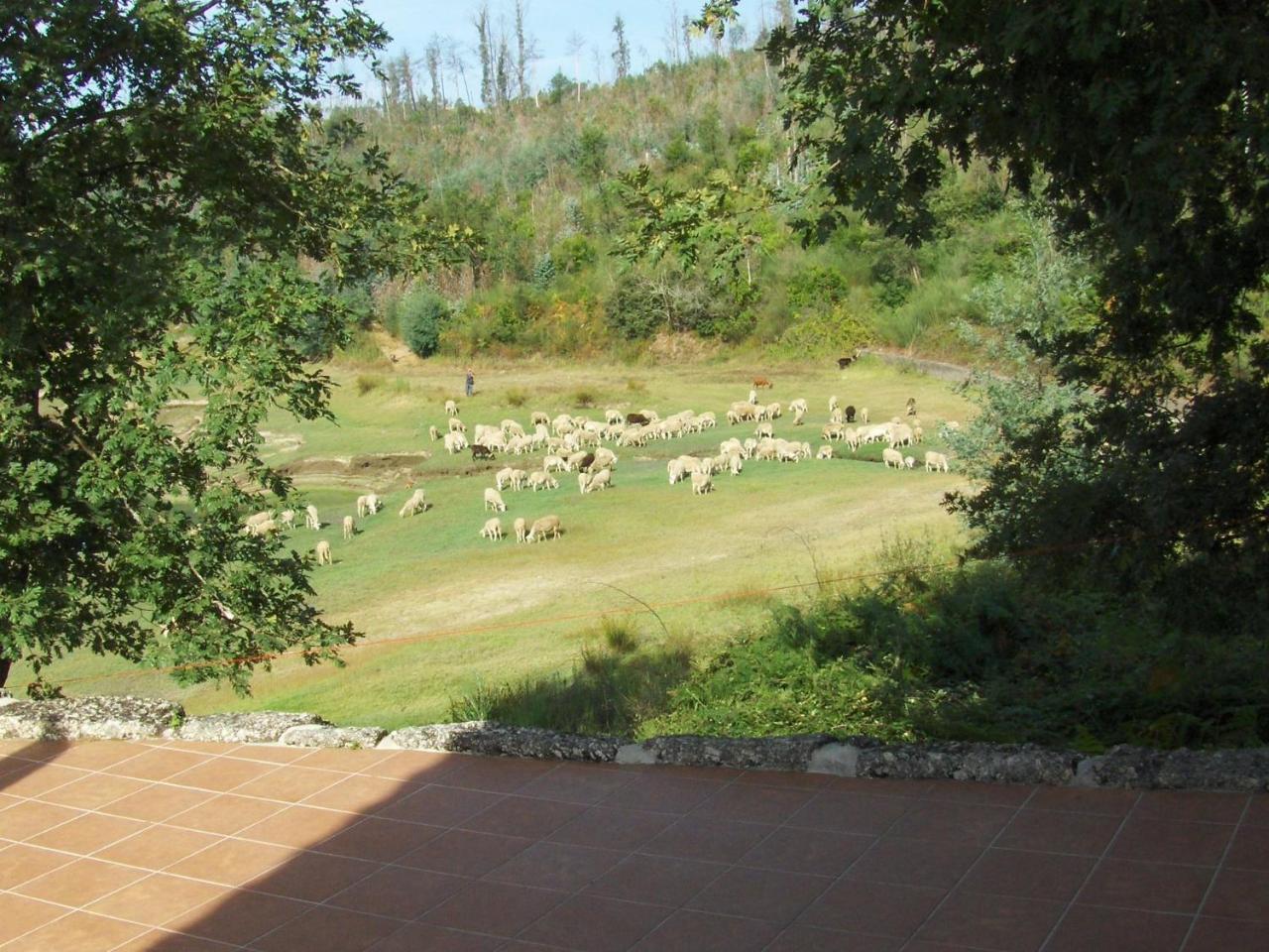 Traditional Mansion In Treixedo With Swimming Pool מראה חיצוני תמונה