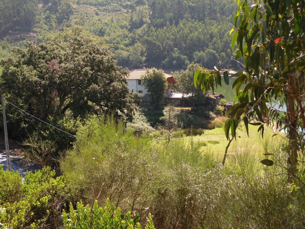 Traditional Mansion In Treixedo With Swimming Pool מראה חיצוני תמונה