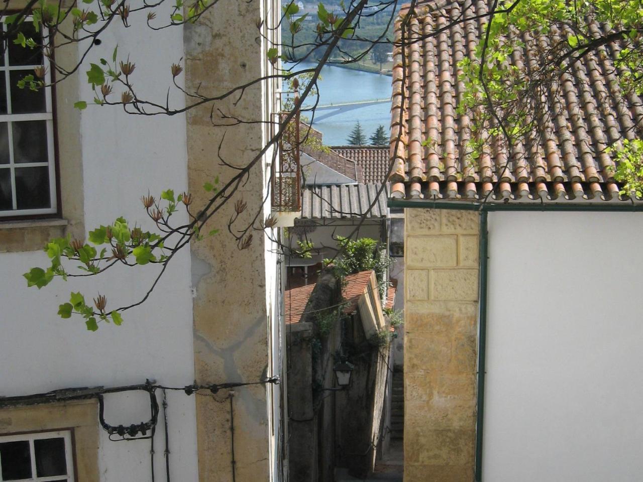 Traditional Mansion In Treixedo With Swimming Pool מראה חיצוני תמונה